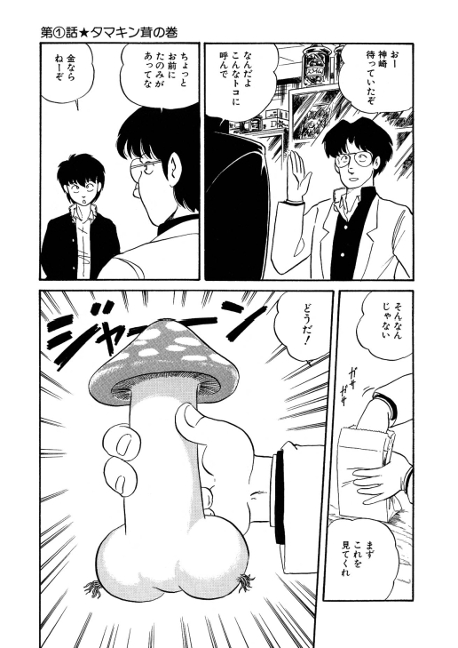 [渡辺ヒデユキ] 美少女へんしん伝説