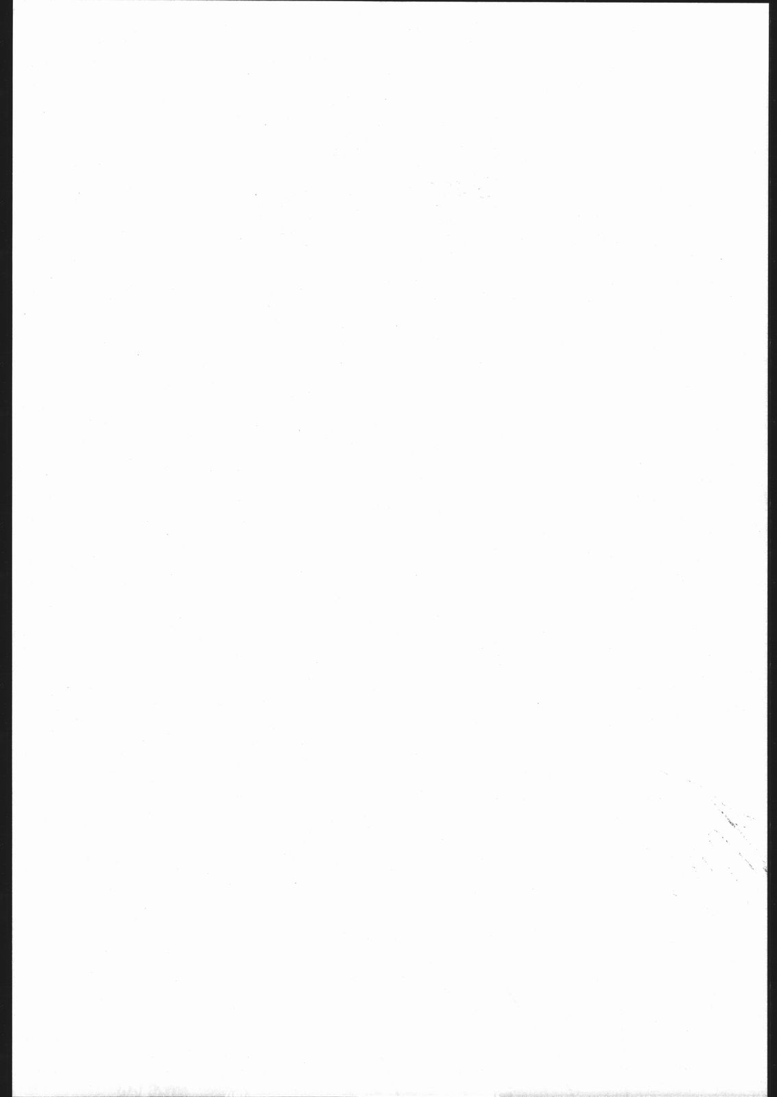 (C54) [ふれぇねるれんず (平野かな)] PLUS (雛鳥の囀)