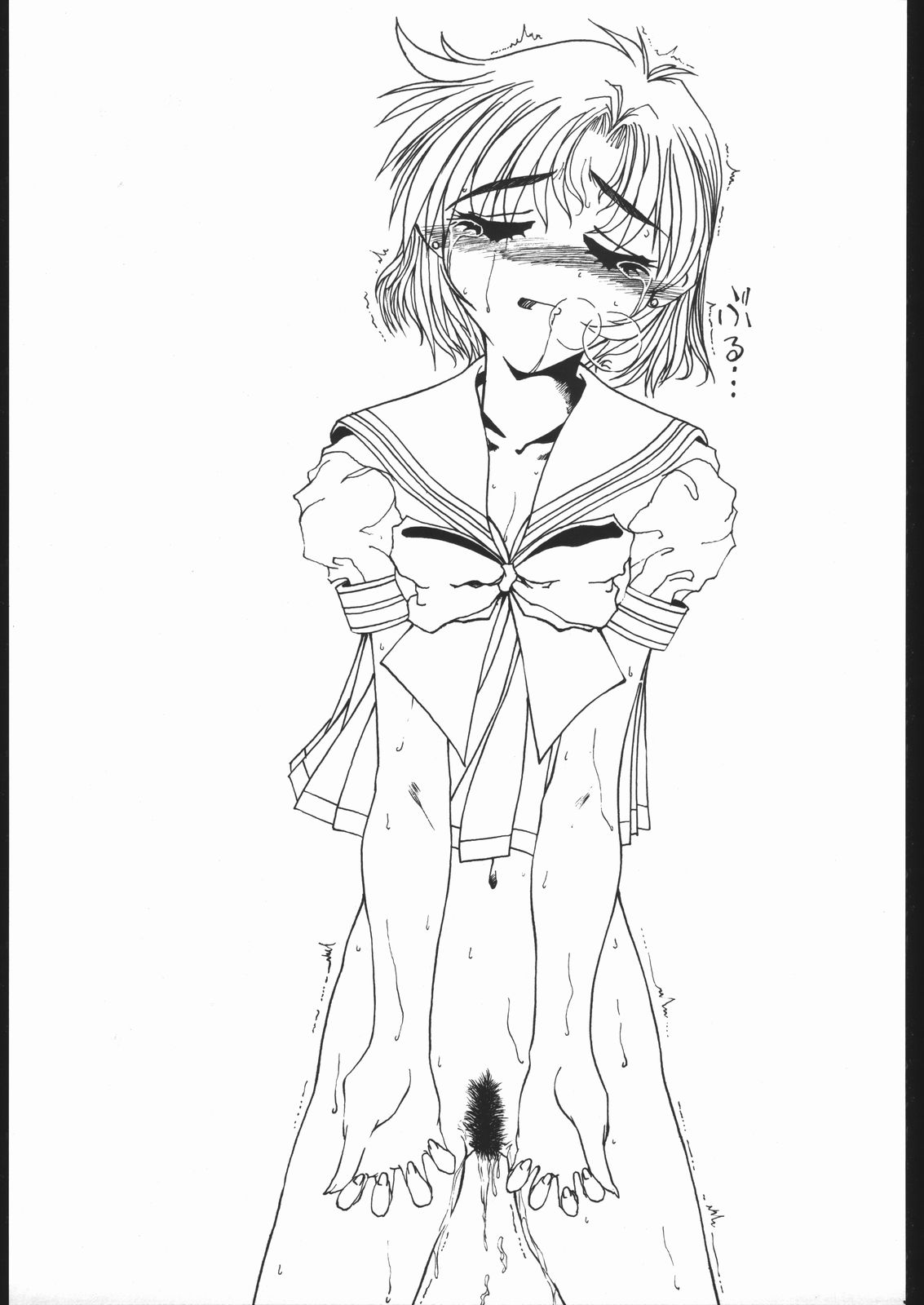 (C54) [ふれぇねるれんず (平野かな)] PLUS (雛鳥の囀)