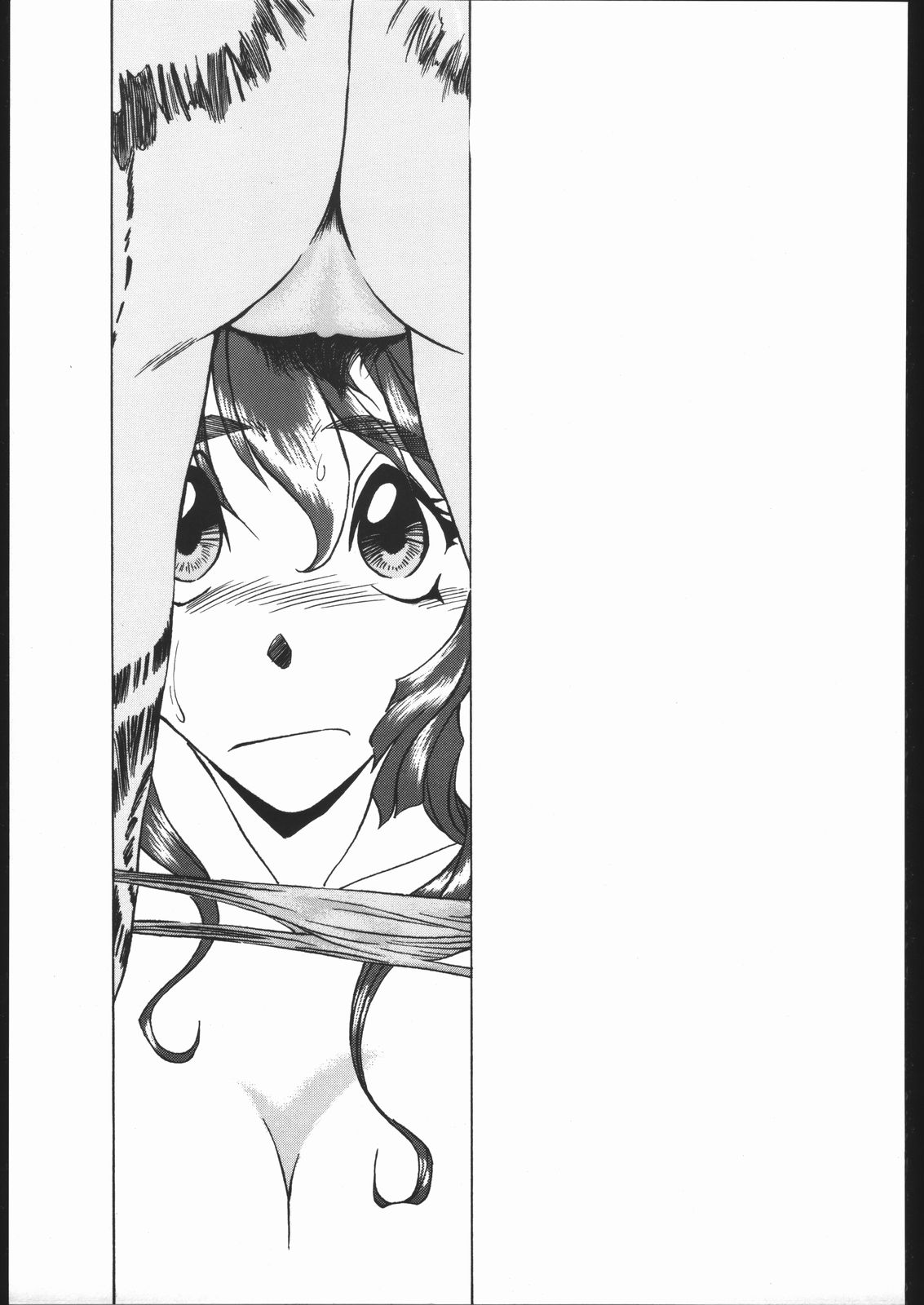 (C54) [ふれぇねるれんず (平野かな)] PLUS (雛鳥の囀)