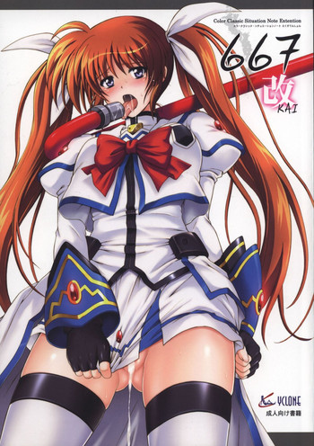 (COMIC1☆4) [サイクロン (和泉, 冷泉)] ６６７改 (魔法少女リリカルなのは)