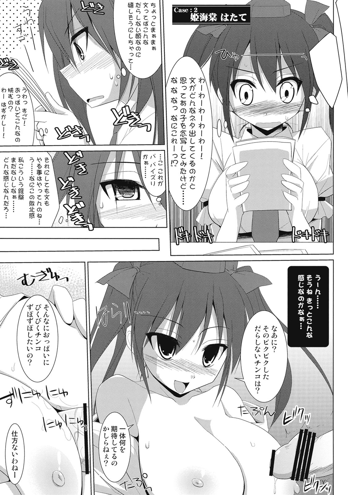 (とら祭り2010) [といぼっくす、くぢらろじっく (くりから、くぢらん)] 幻想郷乳図鑑 文 (東方Project)