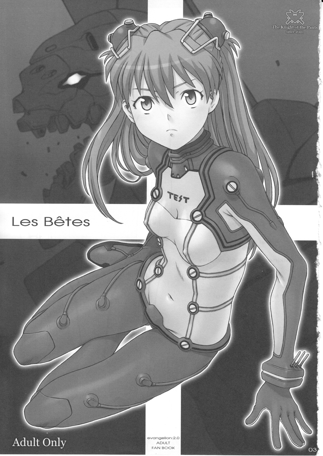 (C77) [パンツ騎士団 (辻武司)] Les Betes (新世紀エヴァンゲリオン)