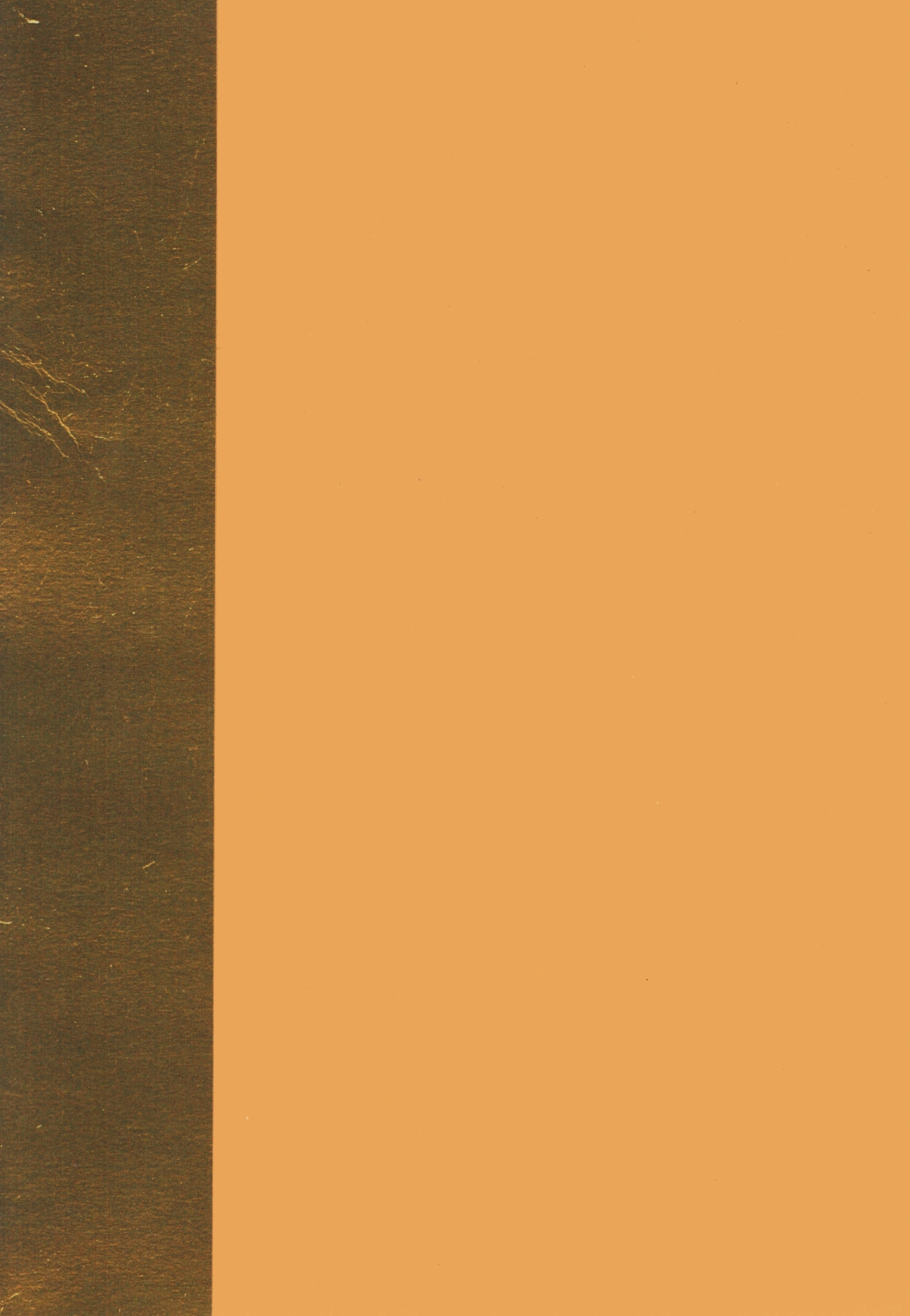 (C79) [バルバロイの里 (りゅうか綾)] ミネア専科 (ドラゴンクエストIV)