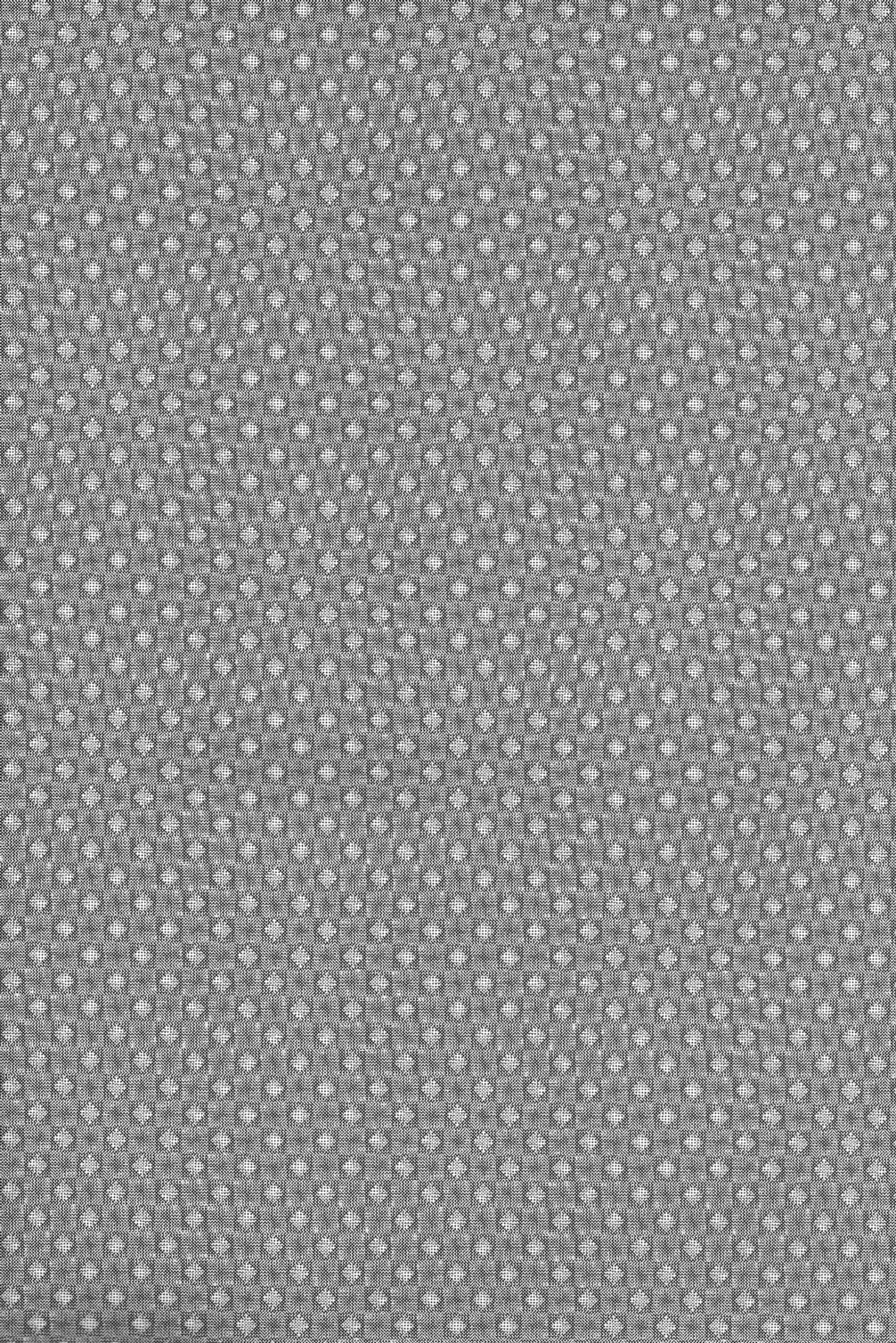 (ショタスクラッチ 13) [KOWMEIISM (カサイこーめい)] 三河の大将