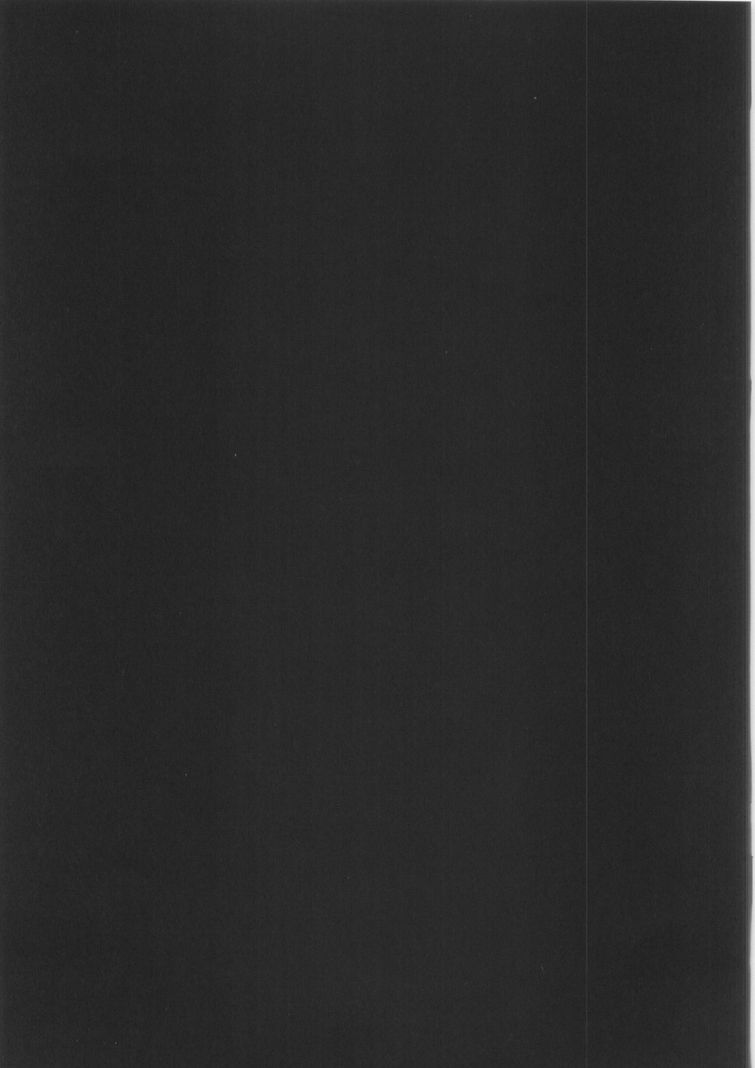 (C79) [More&More (嵩世菜)] 傷痕 (AR∀GO)