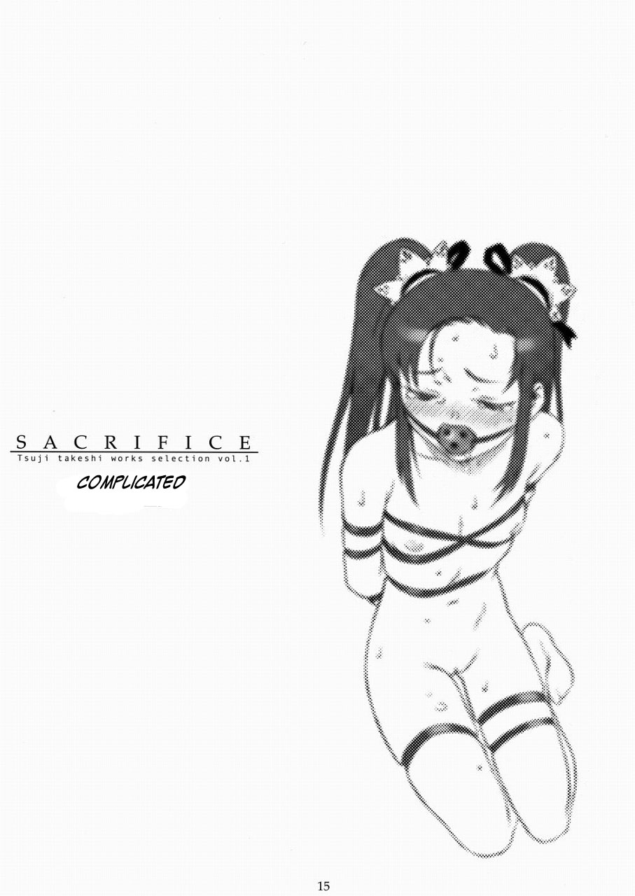 (C65) [パンツ騎士団 (辻武司)] SACRIFICE Tsuji takeshi works selection vol.1 [英訳]