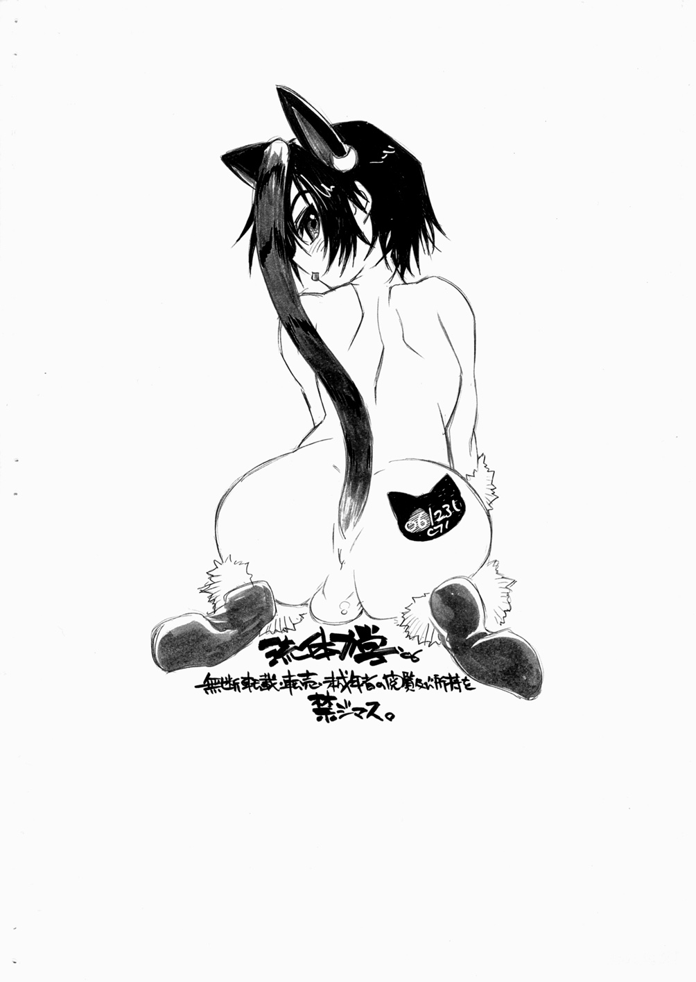 (C71)[流体力学 (秋緒たかみ)] Revolt Sheep (コードギアス 反逆のルルーシュ)