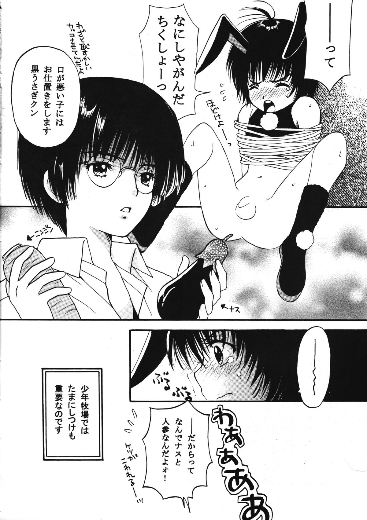 (C64) [昭和プリズム (星崎龍)] Boys Farm 2