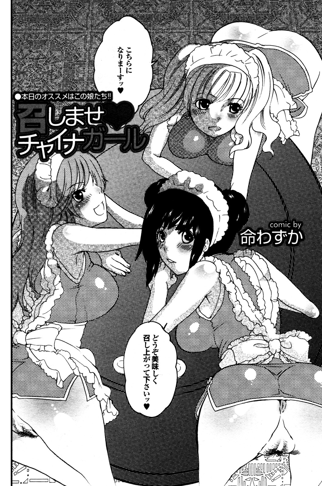 COMIC プルメロ 2009年12月号