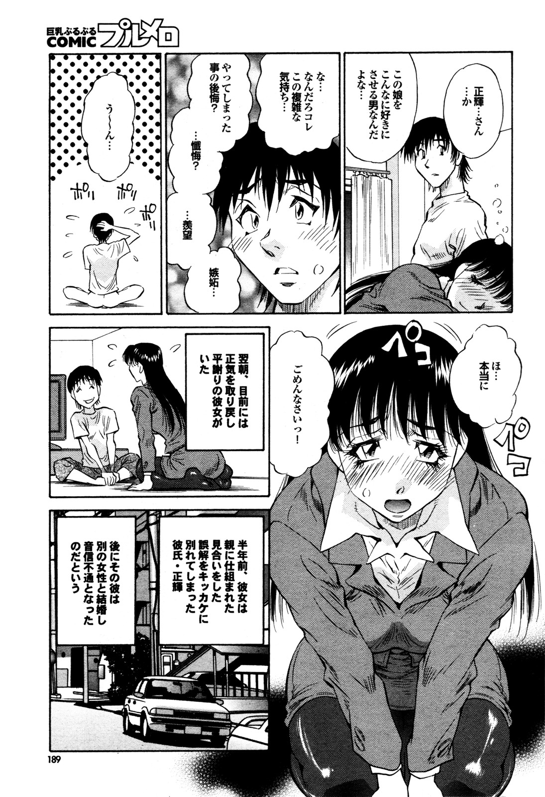 COMIC プルメロ 2009年12月号