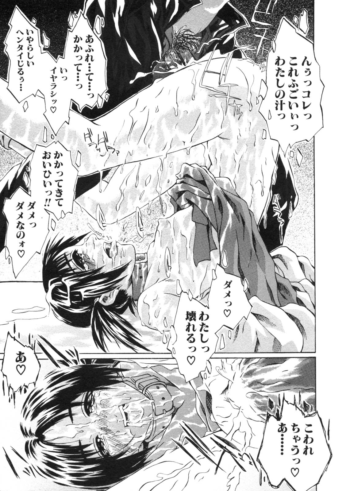 [アンソロジー] 背徳華 Vol.2