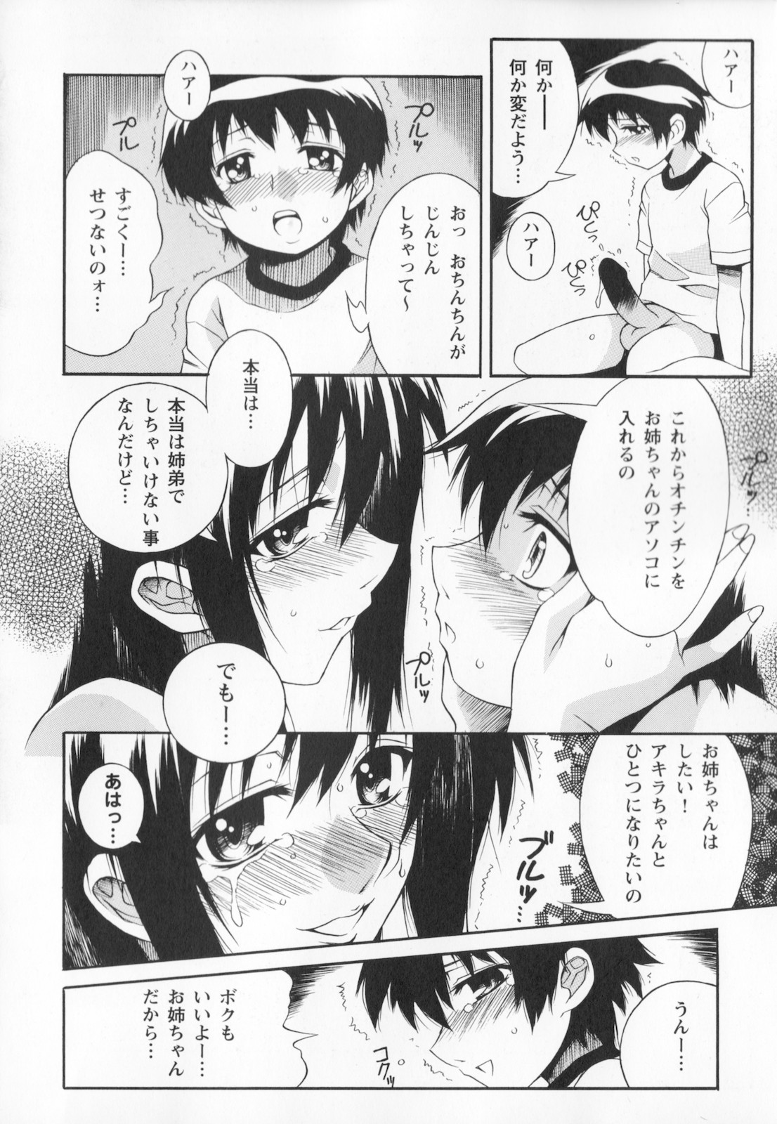 [妻籠いずも] 姉弟肉便姫