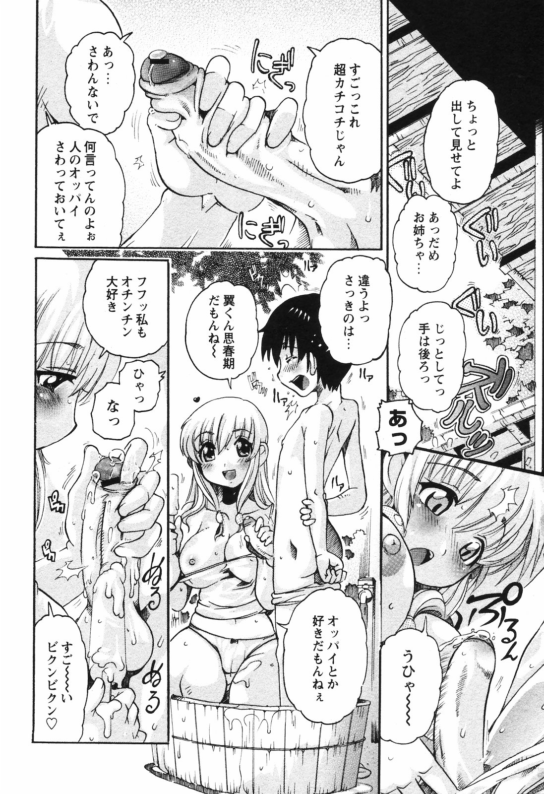 (成年コミック) [雑誌] COMIC 姫盗人 2008年09月号