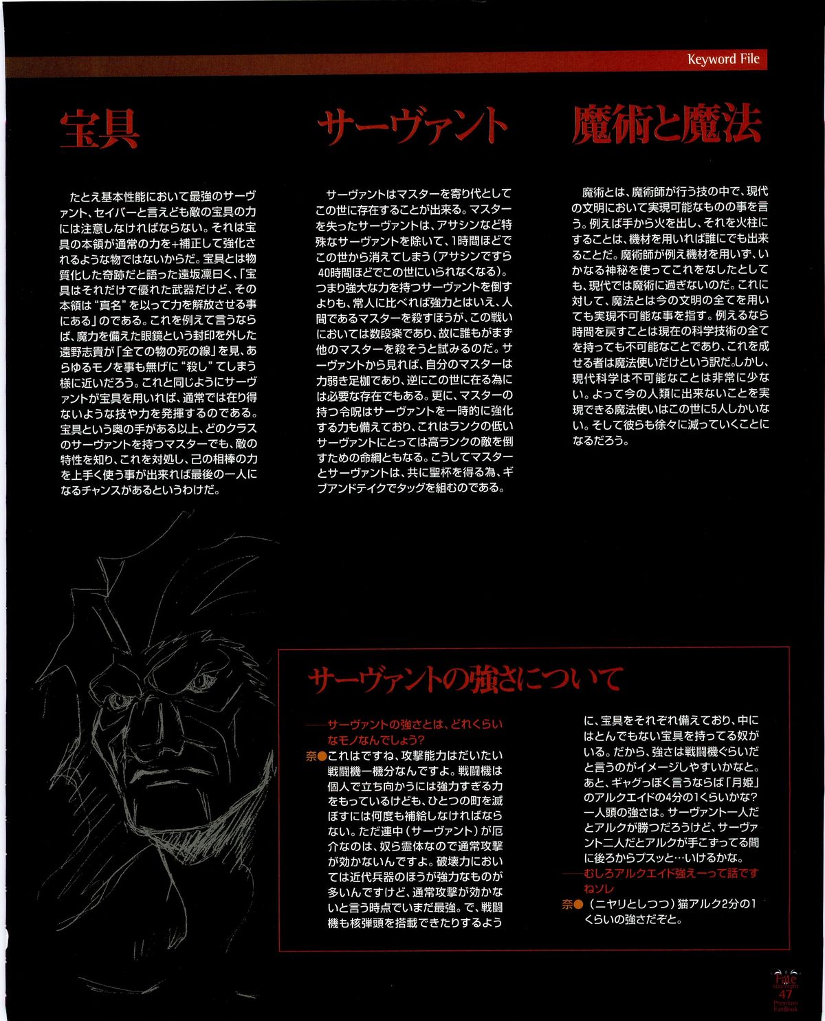 フェイト／ステイナイト　プレミアムファンブック (画集・設定資料集)