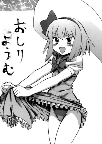 (同人誌) [プライドZERO] おしりようむ (東方Project)