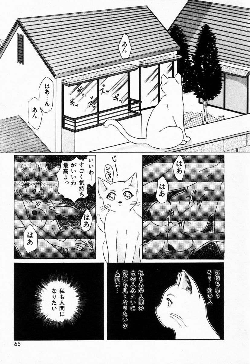 [橘孝志] 生徒会長はFカップ