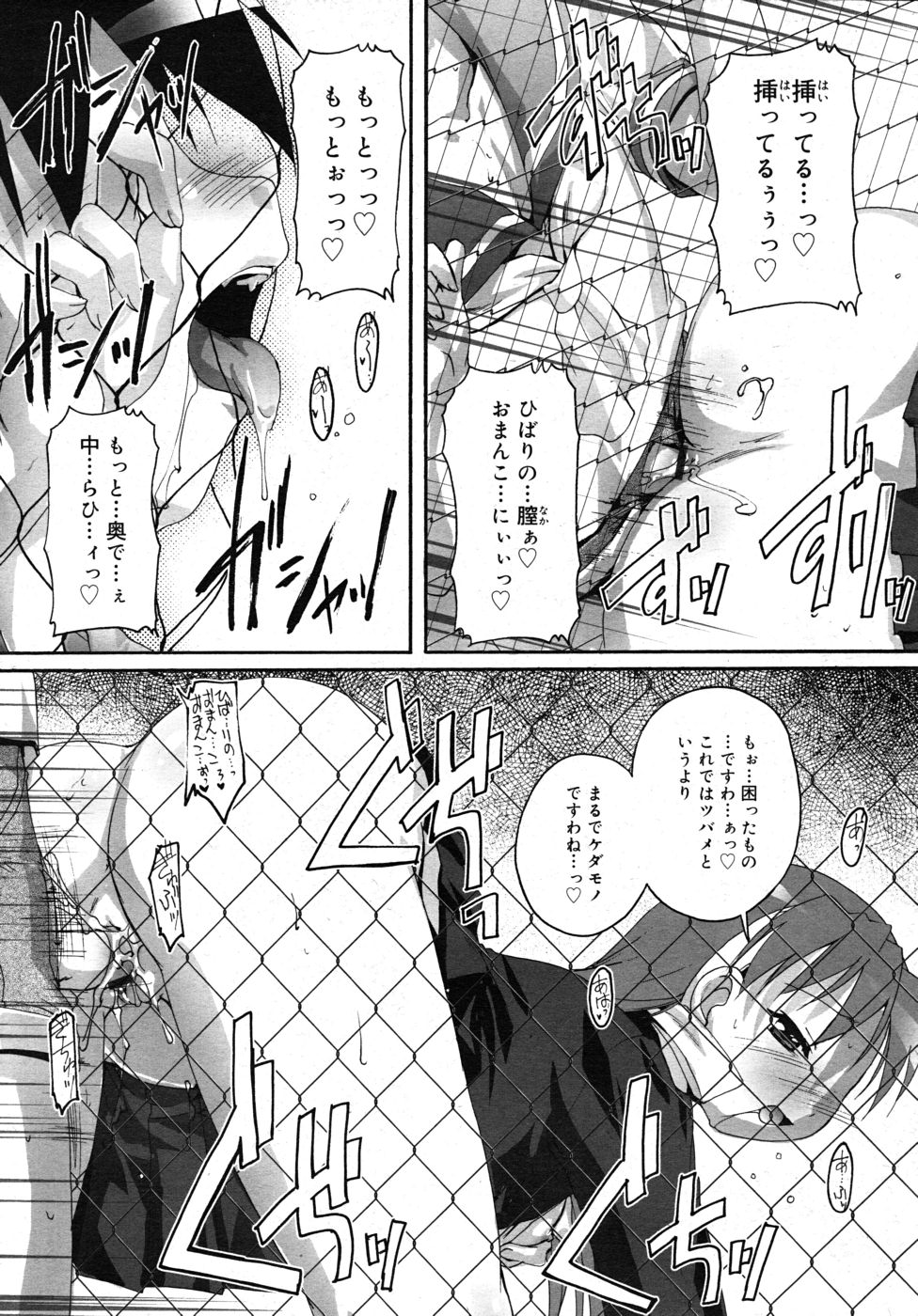 COMIC RiN 2010年10月号