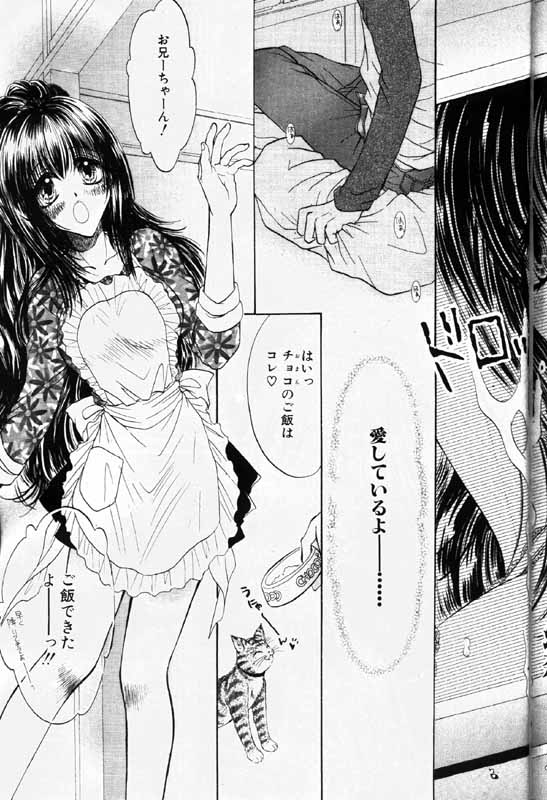 COMIC パピポ 2000年1月号