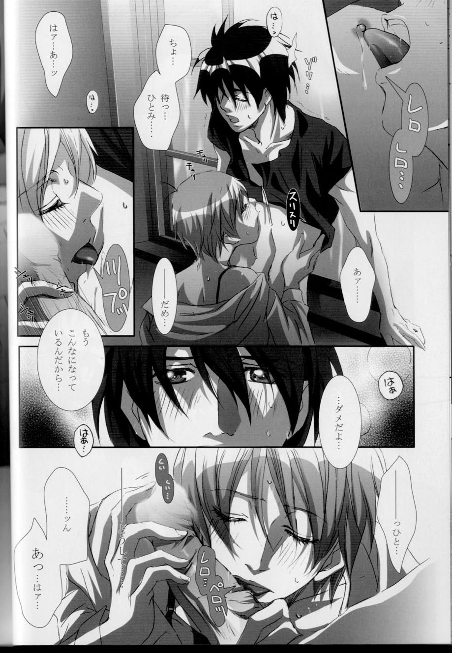 (C68) [タカハシ看板店 (田島港)] カゴノトリ3 (天空のエスカフローネ)