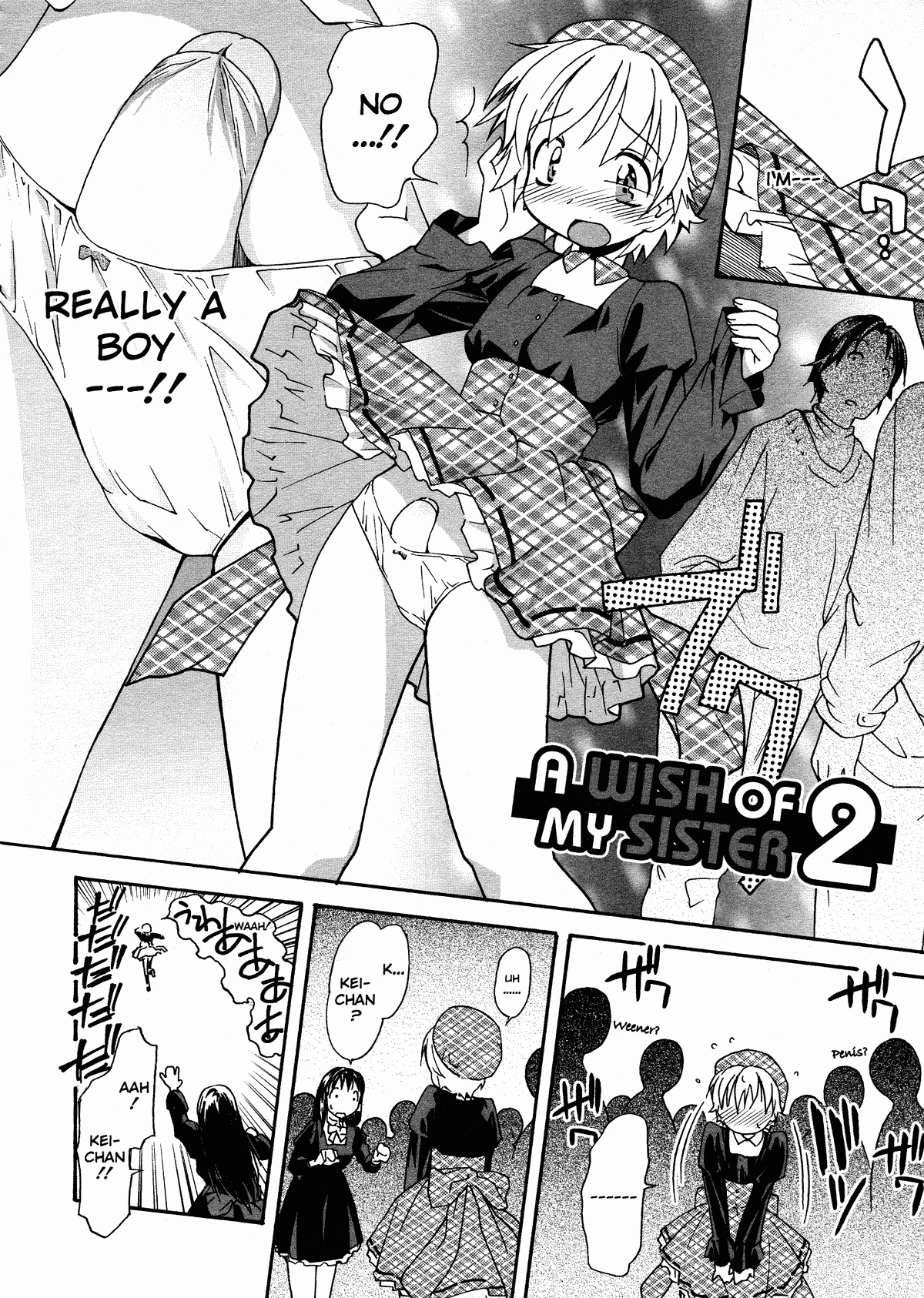 [糸杉柾宏] お姉ちゃんのお願い [英訳] [無修正]