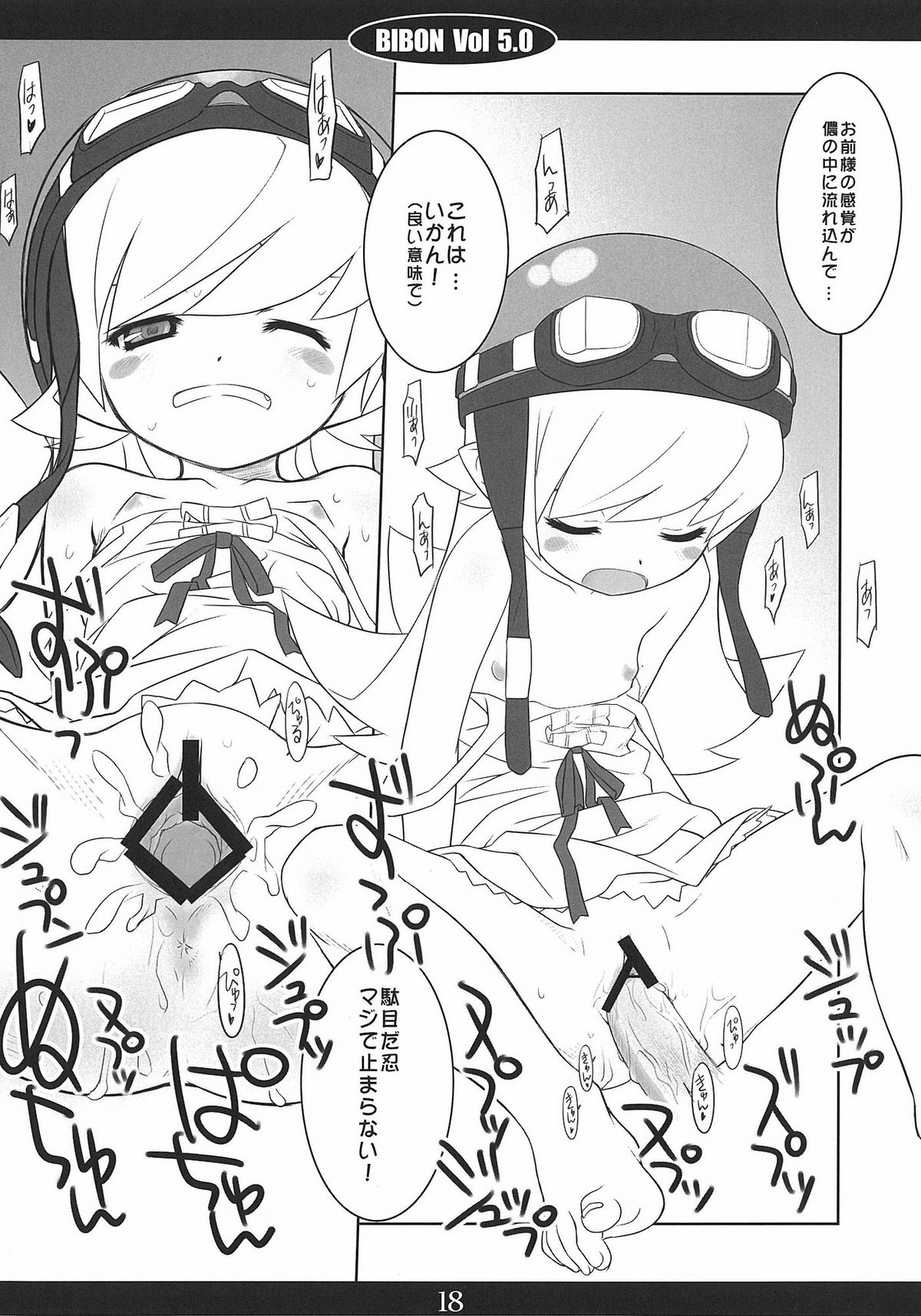 (C78) [CHILLED HOUSE (葵久美子)] BIBON VOL 5.0 (化物語)