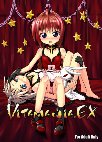 (C77) [始まりは健全に。 (伊知朗)] Vitamania.EX (魔法少女リリカルなのは)