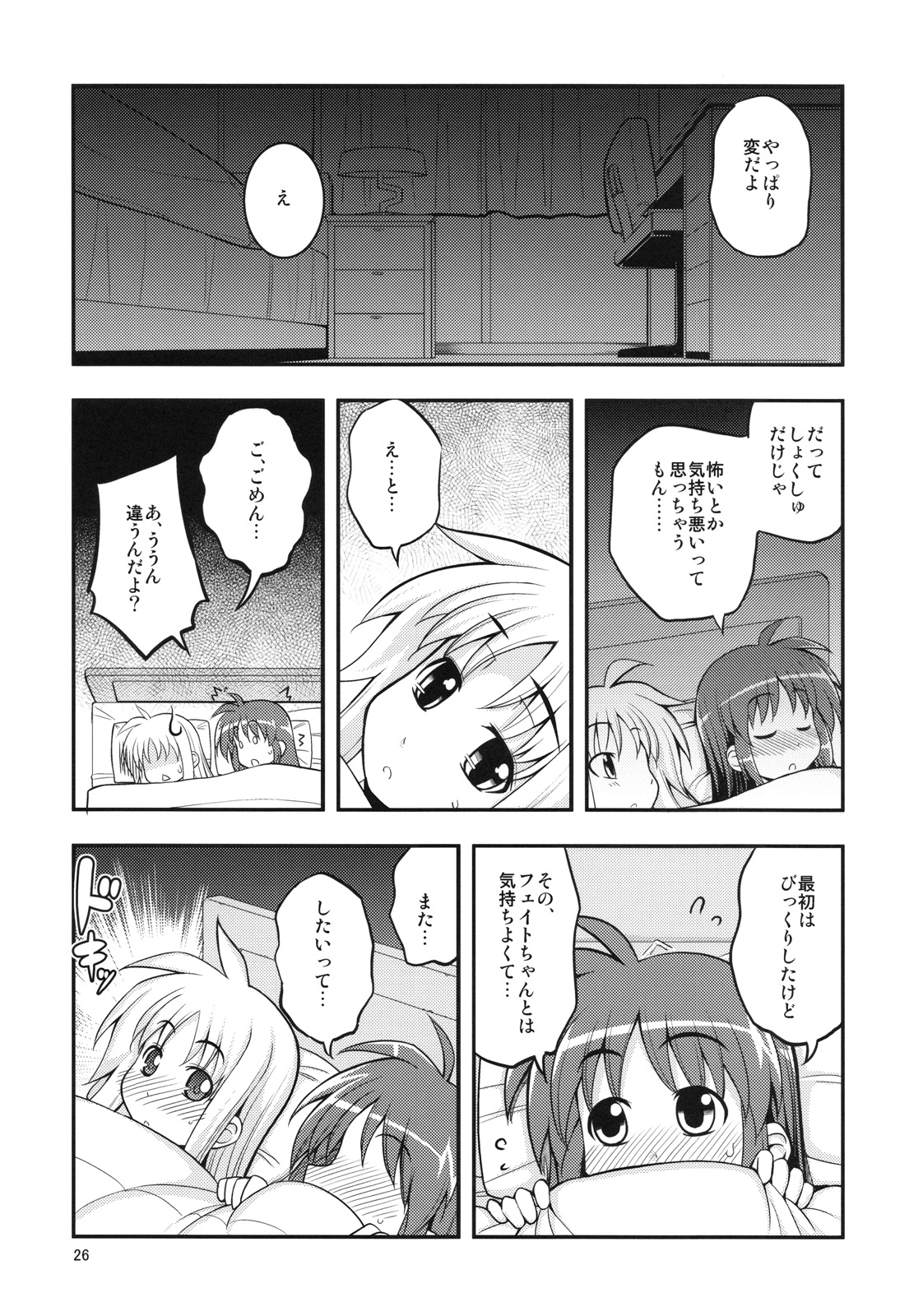 (C78) [RUBBISH選別隊 (無望菜志)] RE11 (魔法少女リリカルなのは)