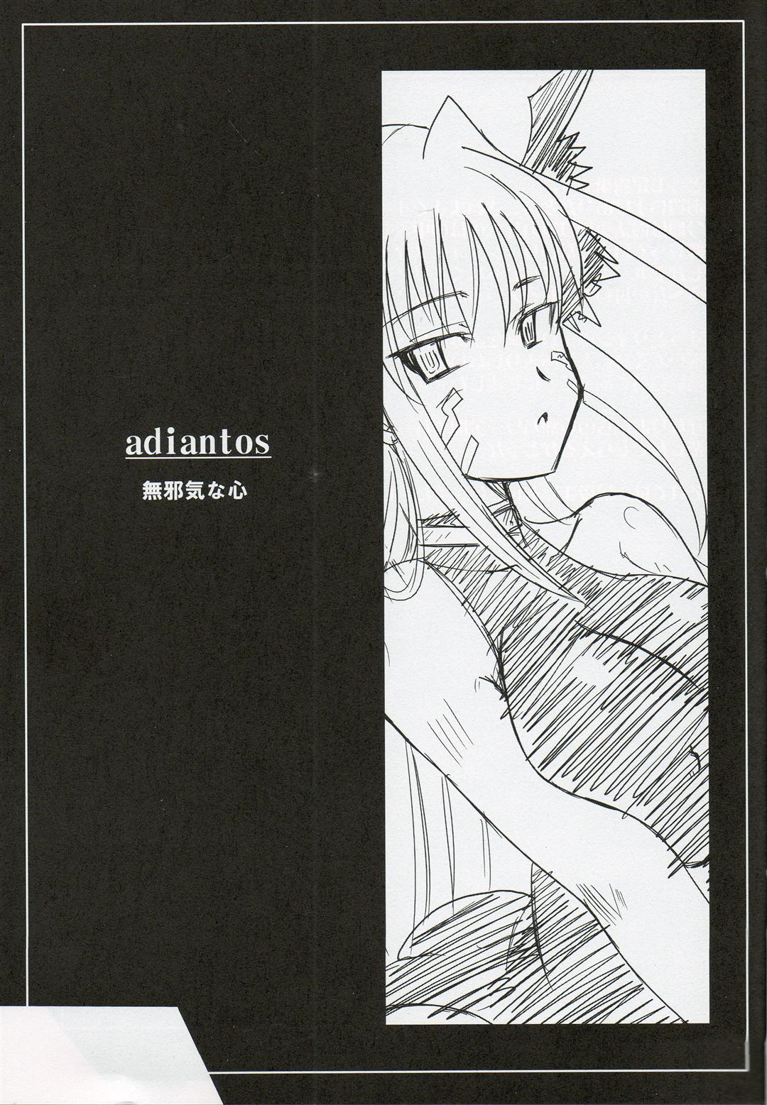 (なのはFestival2) [Take Out (是露巣)] adiantos (魔法少女リリカルなのは)