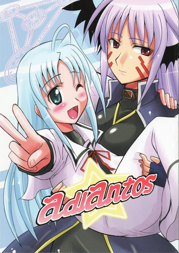 (なのはFestival2) [Take Out (是露巣)] adiantos (魔法少女リリカルなのは)