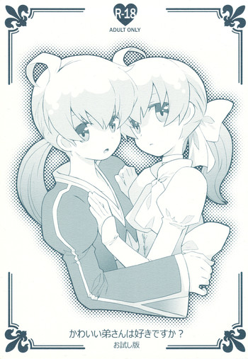 (C78) [ばくはつBRS. (B.たろう)] かわいい弟さんは好きですか？お試し版 (ファイナルファンタジータクティクス)