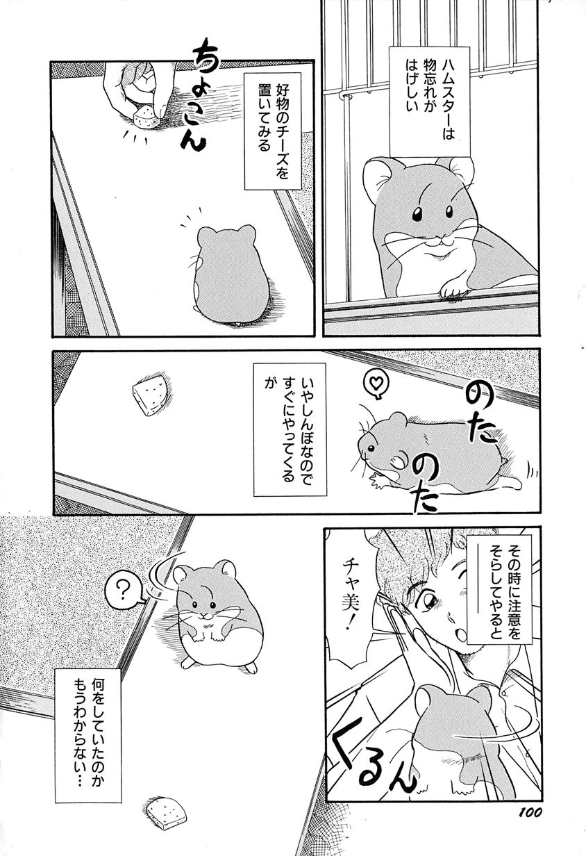 [なにわ？] がんばらなきゃね