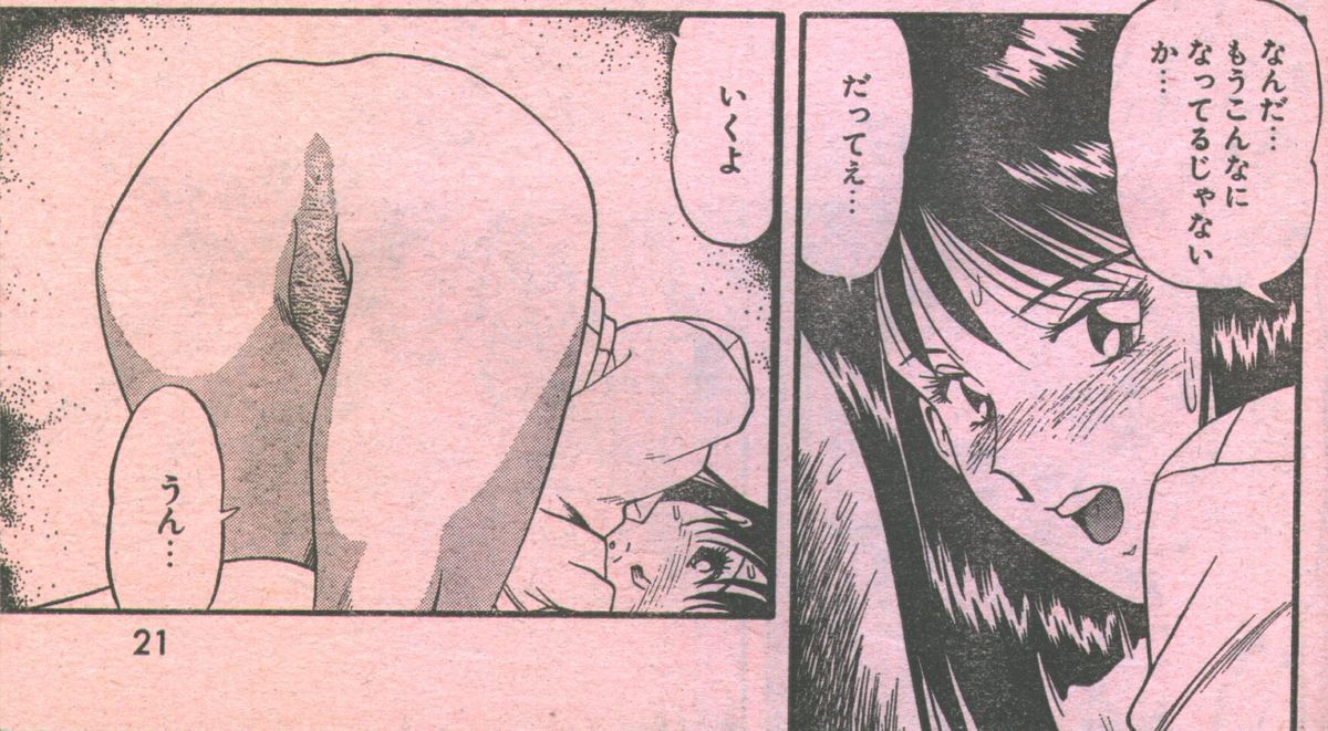 コットンコミック 1993年12月号 [不完全]