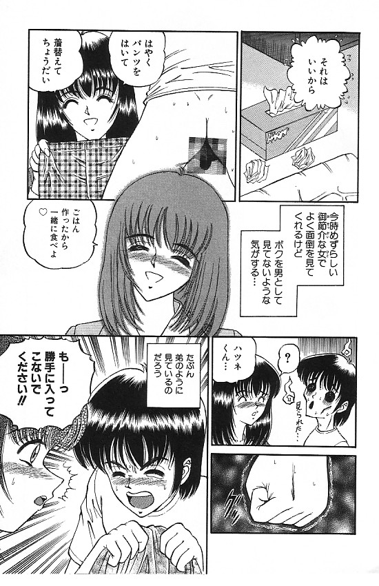 [SHION] 真夜中の太陽 [ページ欠落]