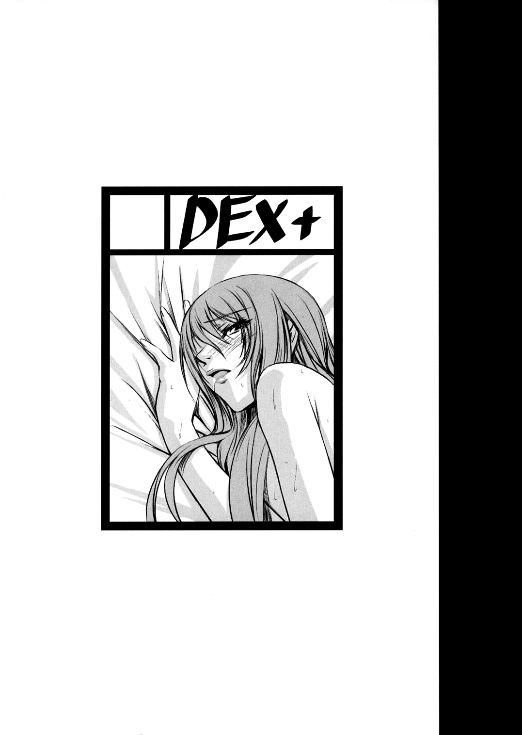 (C72) [DEX+ (中寺明良)] P3lovers (ペルソナ3) [英訳]