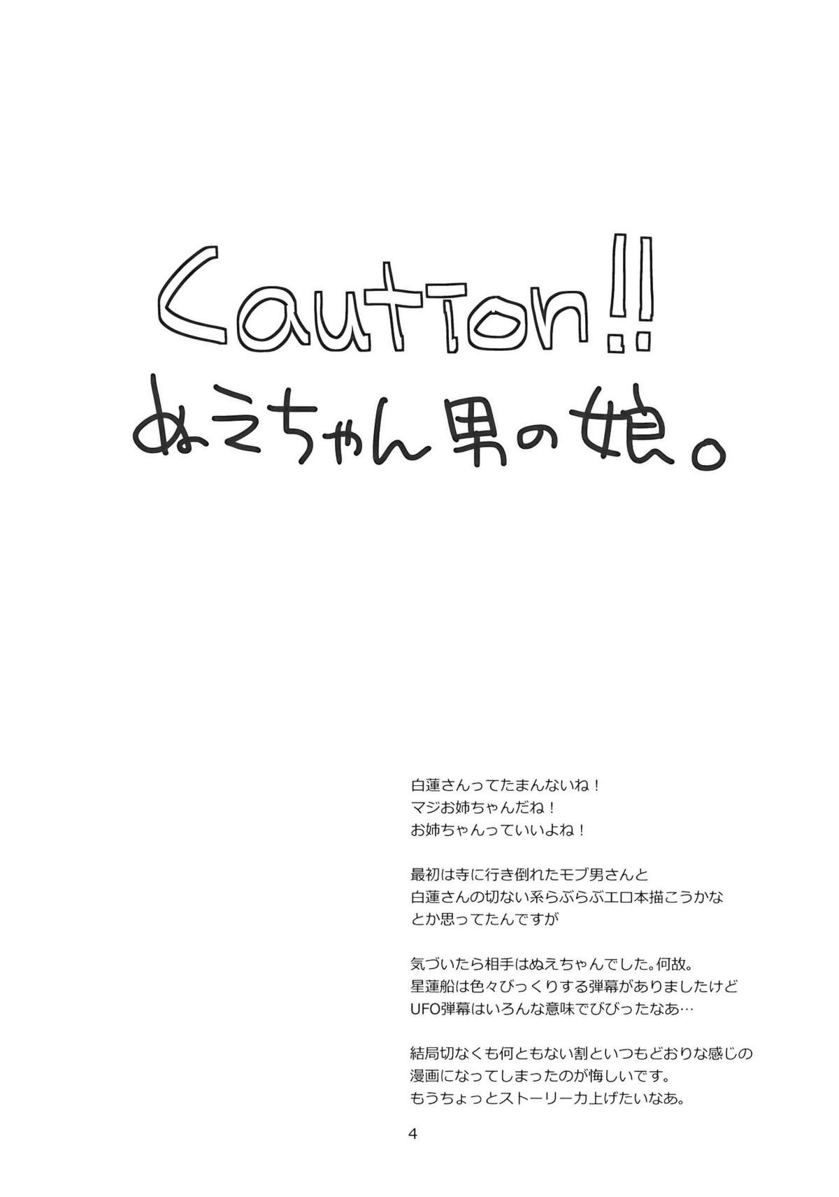 (C77) [pinktips.info (kazuha)] 正体不明の弟様 (東方Project)