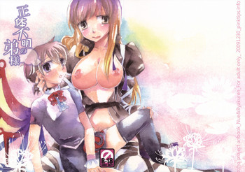 (C77) [pinktips.info (kazuha)] 正体不明の弟様 (東方Project)