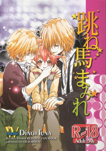 【家庭教師ヒットマンREBORN】家庭教師ヒットマンRE（やおい）