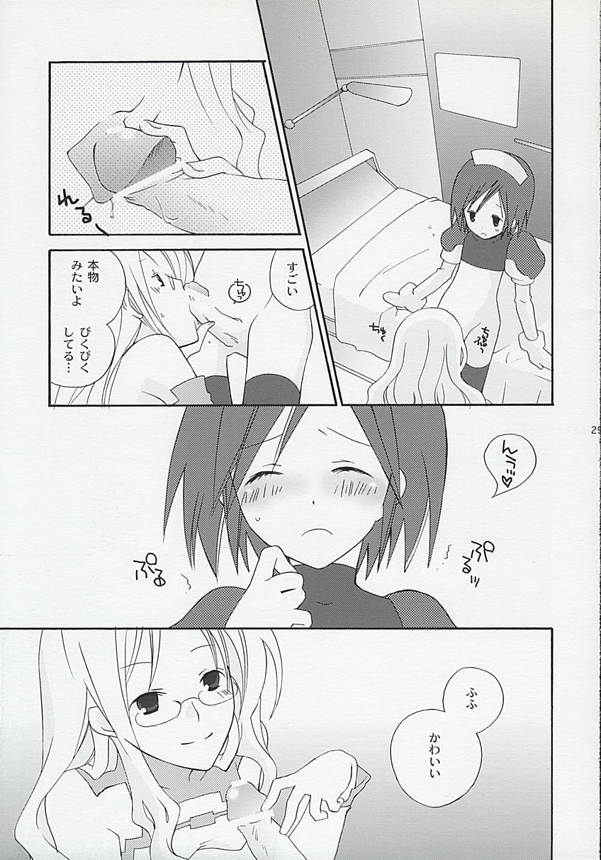 (C65) [メガトンメガネ (トーマス)] 感情教育 (サモンナイト3)