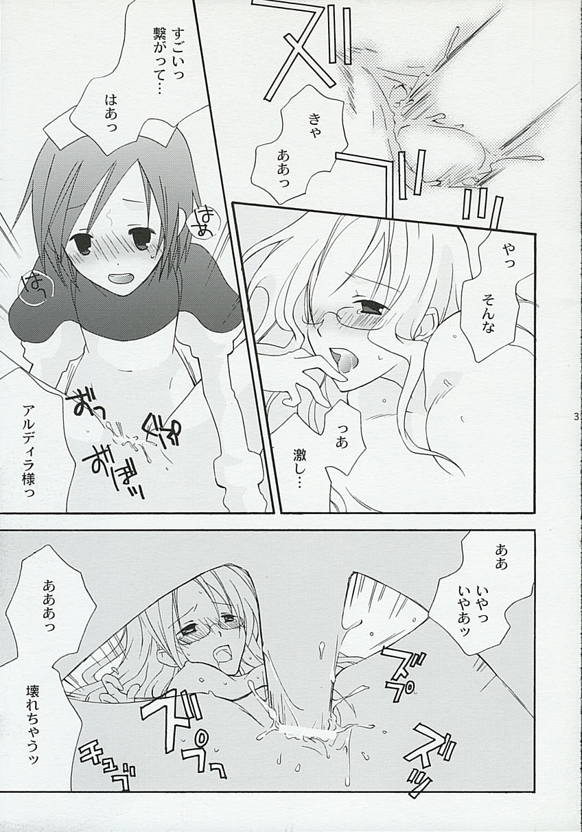 (C65) [メガトンメガネ (トーマス)] 感情教育 (サモンナイト3)