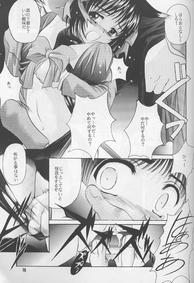 (C60) [自由ヶ丘商店会 (平木直利)] 瑠璃 いやらしい子猫のしつけ方 (しびれる大王)