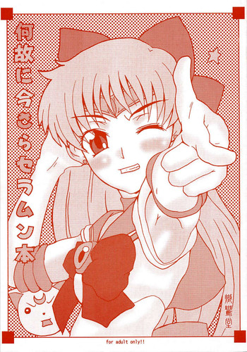 【セーラームーン】なぜに今セラセラムン本