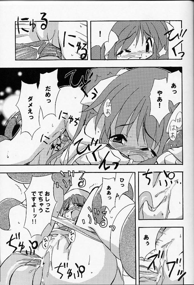 (C60) [のーてんきかんぱにー (れむ, FLAC, ペテン師)] あれ以外のそれ。