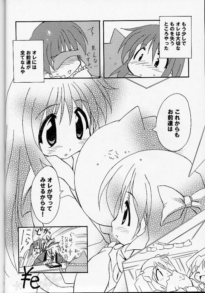 (C60) [のーてんきかんぱにー (れむ, FLAC, ペテン師)] あれ以外のそれ。