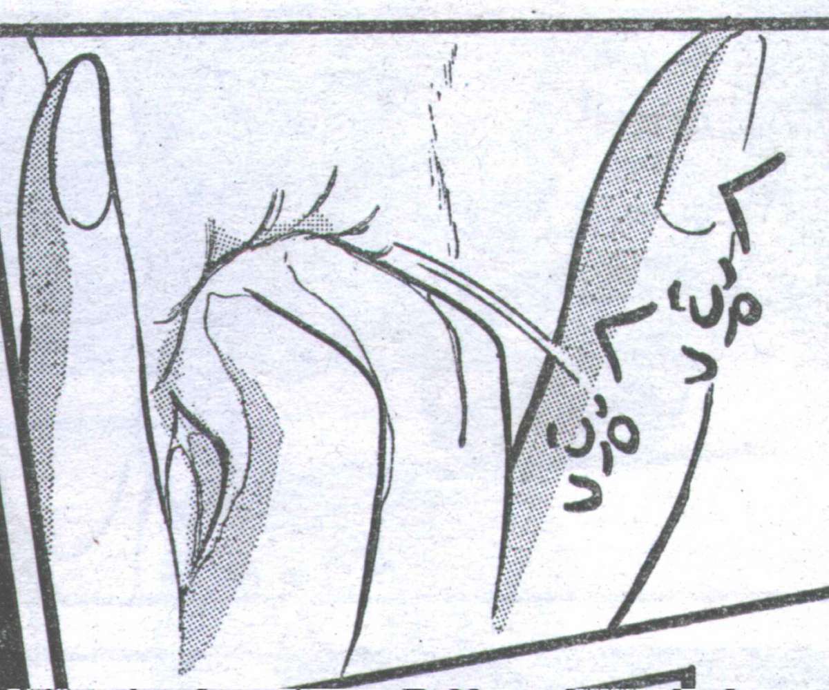 コットンコミック 1994年06月号 [不完全]