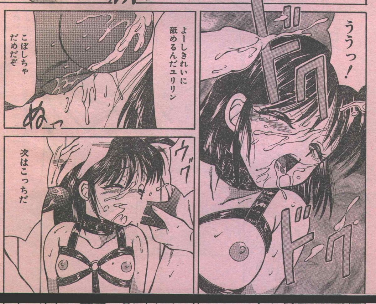 コットンコミック 1994年06月号 [不完全]