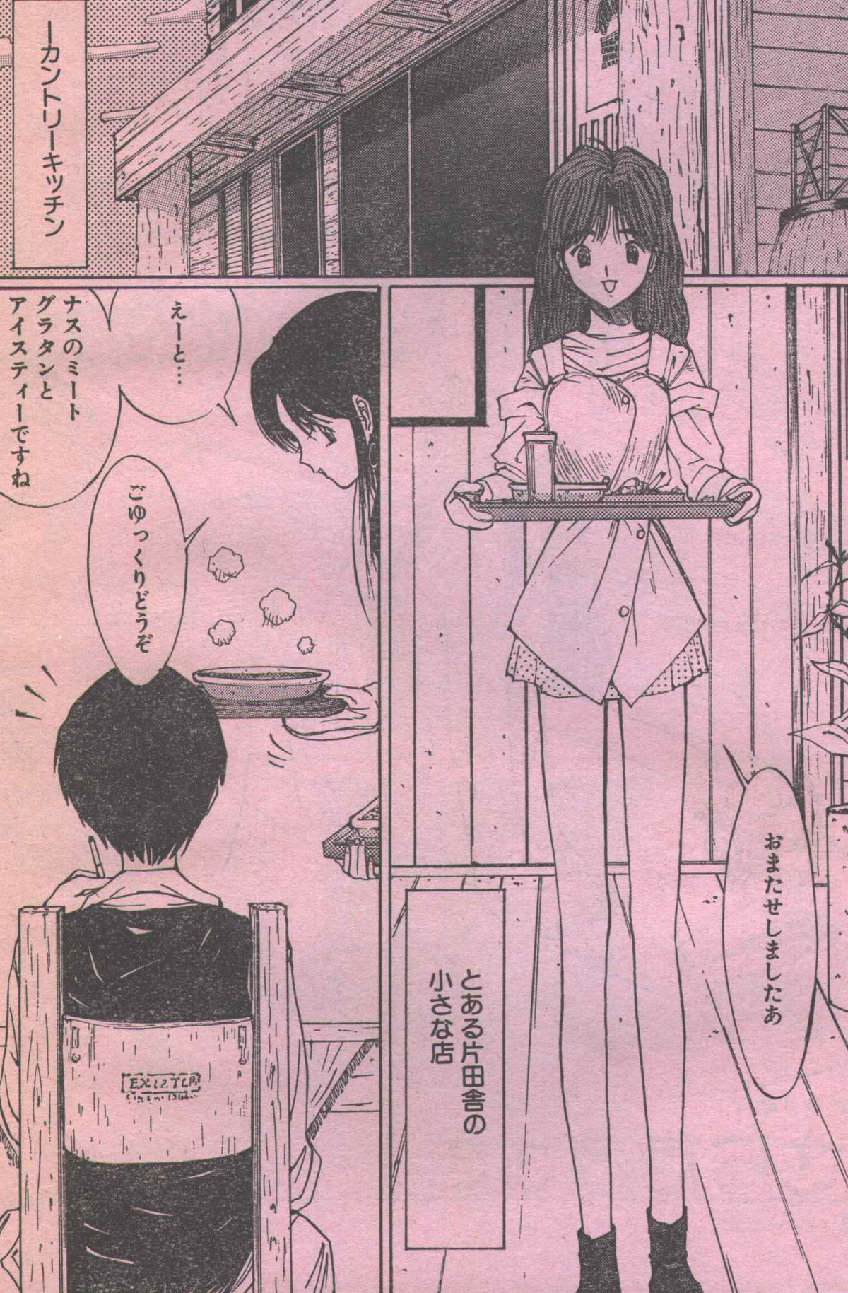 コットンコミック 1994年06月号 [不完全]