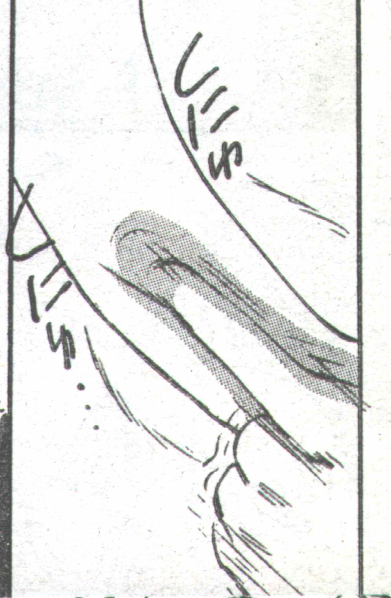 コットンコミック 1994年06月号 [不完全]