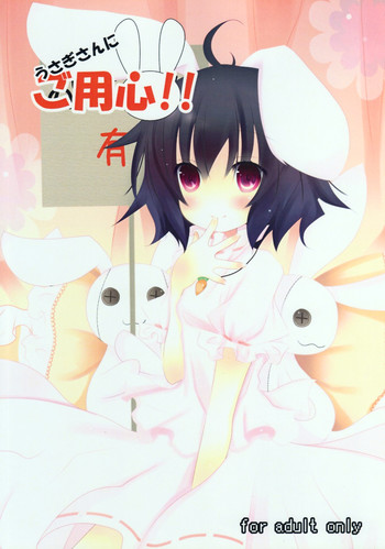 (C77) [アインス (倉田友弓)] うさぎさんにご用心!! (東方Project)