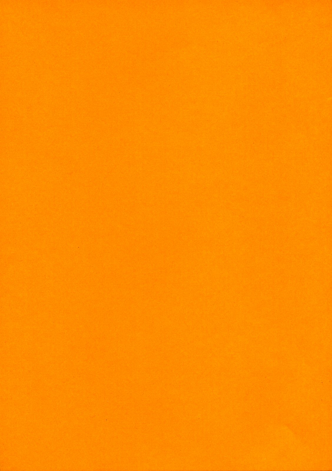 (C65) [Zた袋猫はうす (魚肉ん)] DOKKOI LIFE! (住めば都のコスモス荘)